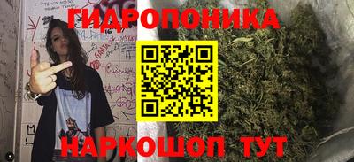 мдпв Кингисепп