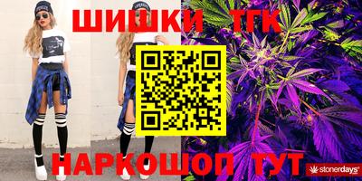 мдпв Кингисепп