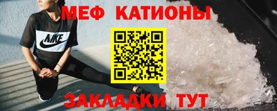 мдпв Кингисепп