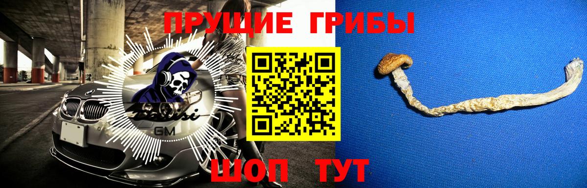 Галлюциногенные грибы MAGIC MUSHROOMS Кубинка